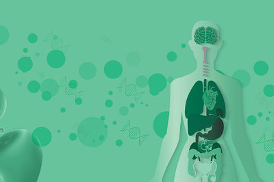 How Long Does Marijuana Stay in Your System?