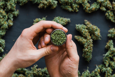 10 Things Everyone Needs To Know About Cannabis