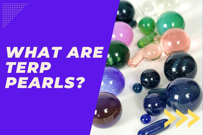 All About Terp Pearls