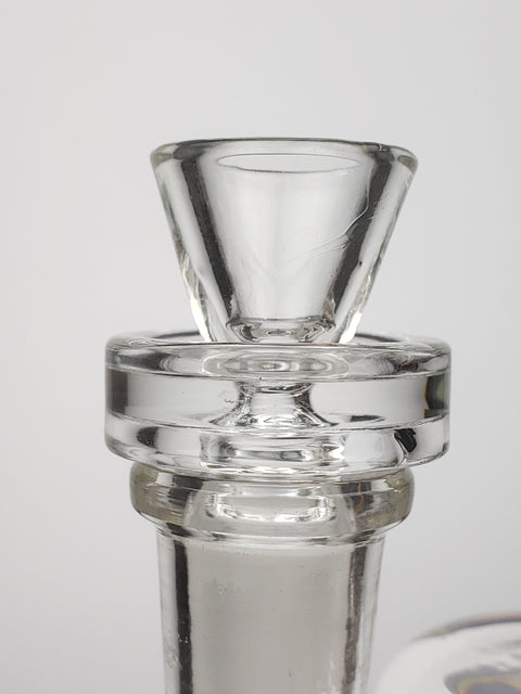 Dutch 8'' fat bottom bong with colored neck – ABSNTMINDED