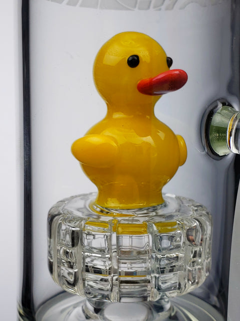 Nexus 14" venetian with yellow ducky